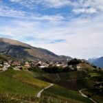 rebberg besichtigen wallis