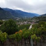 gutes weinhotel wallis
